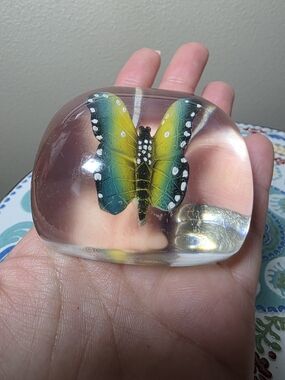 Butterfly Specimen Resin Paperweight Yellow Green Nature Decor